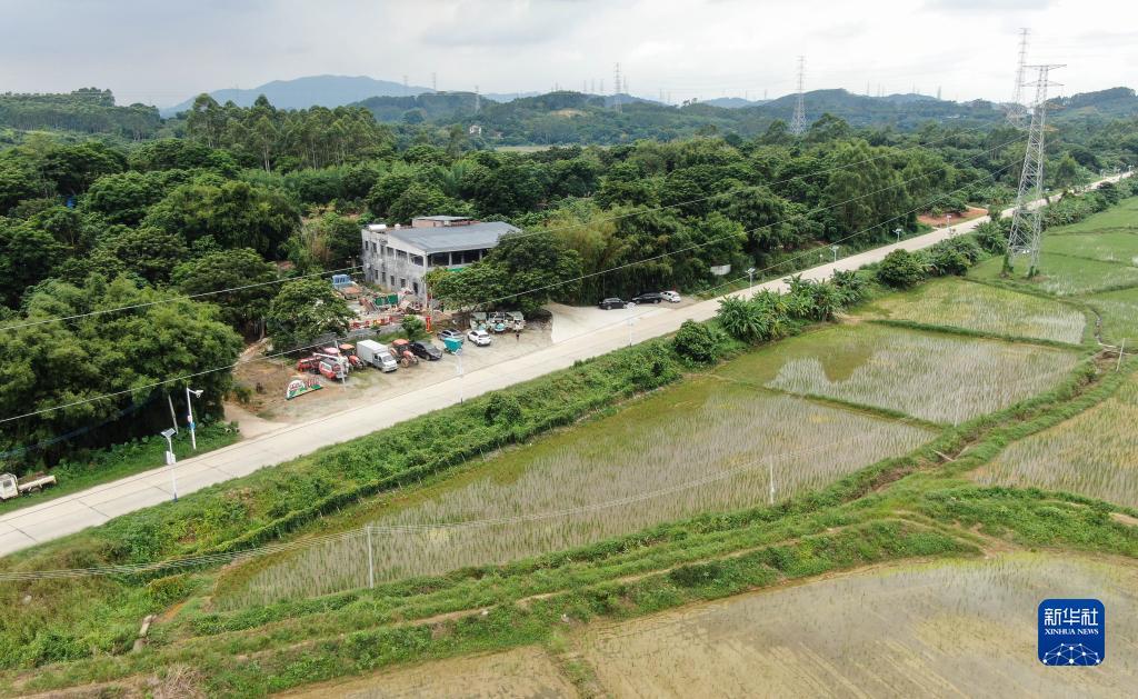 大红鹰.永利会